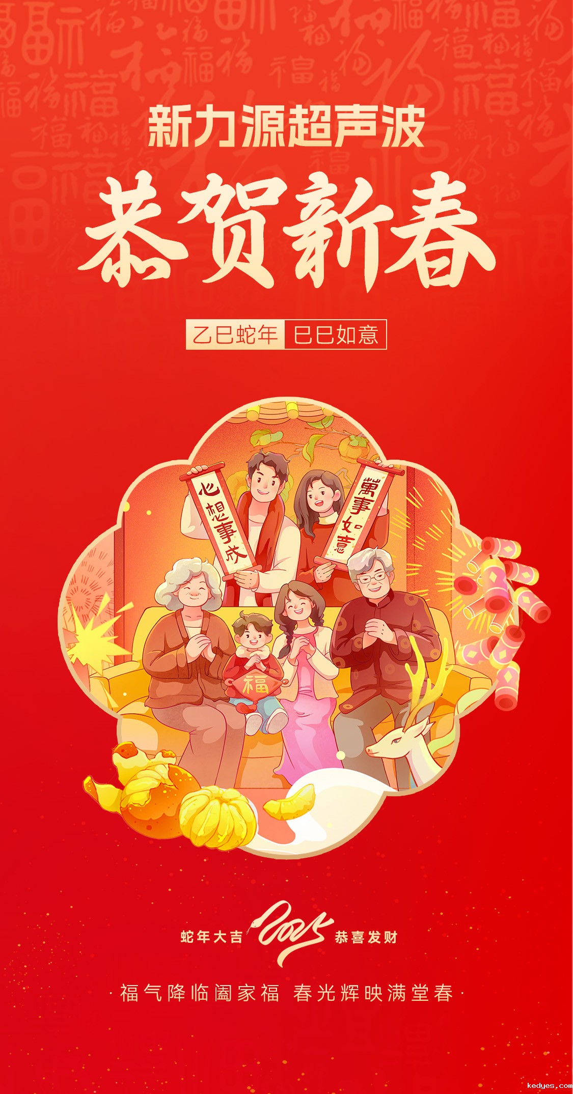 恭贺新春，新力源超声波向您拜年啦！